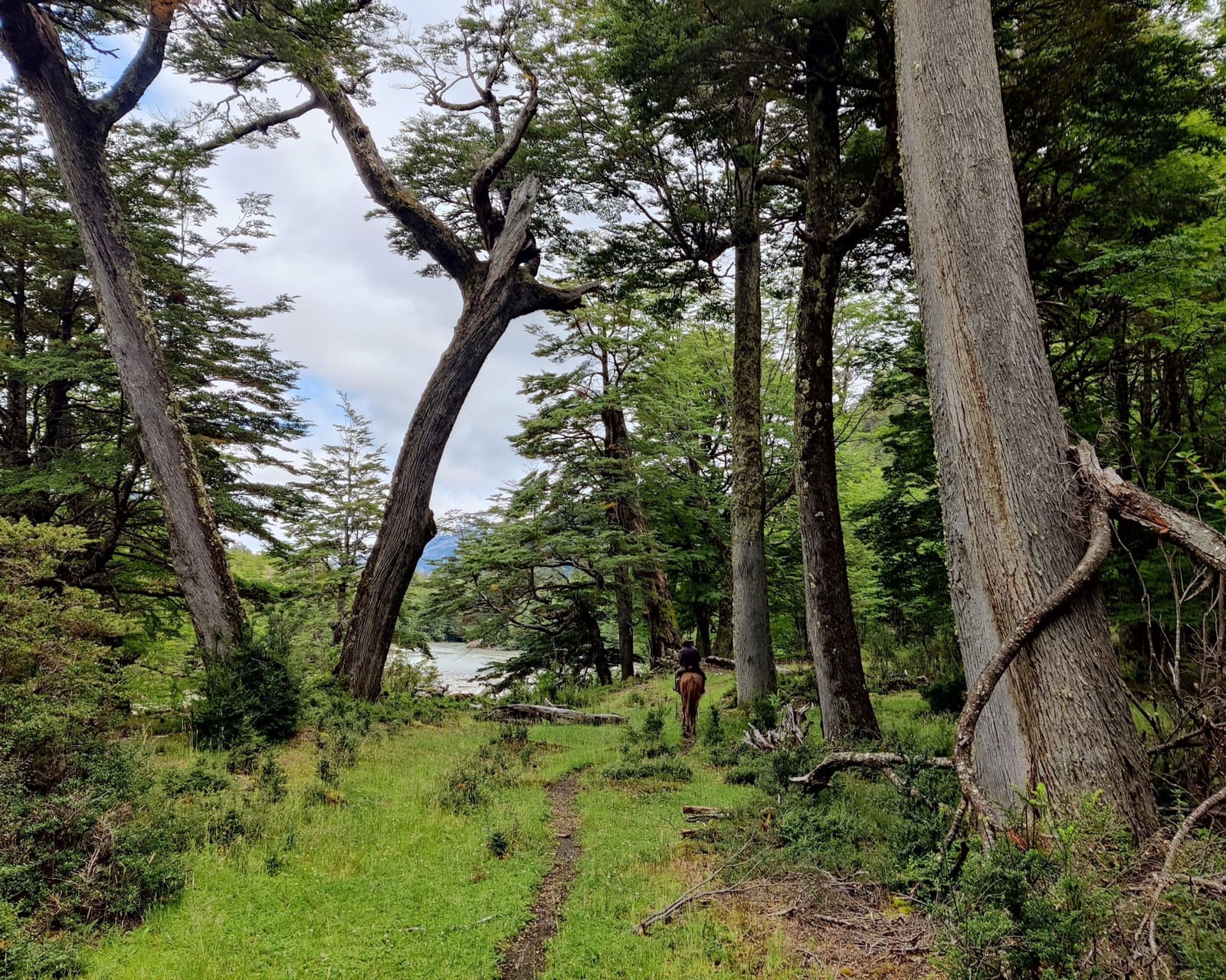 Terreno en venta en Río Ibáñez — foto 10