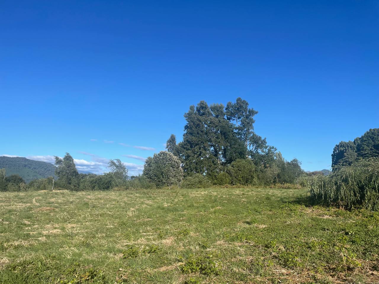 Parcela en venta en Puerto Octay — foto 5