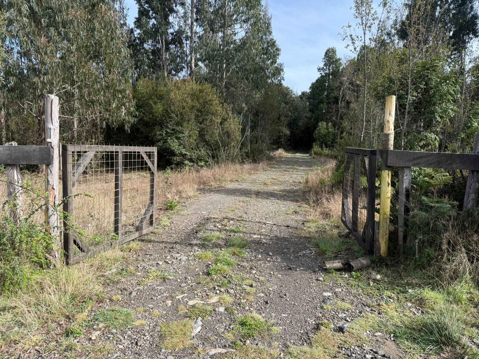 Parcela en venta en Puerto Varas — foto 3