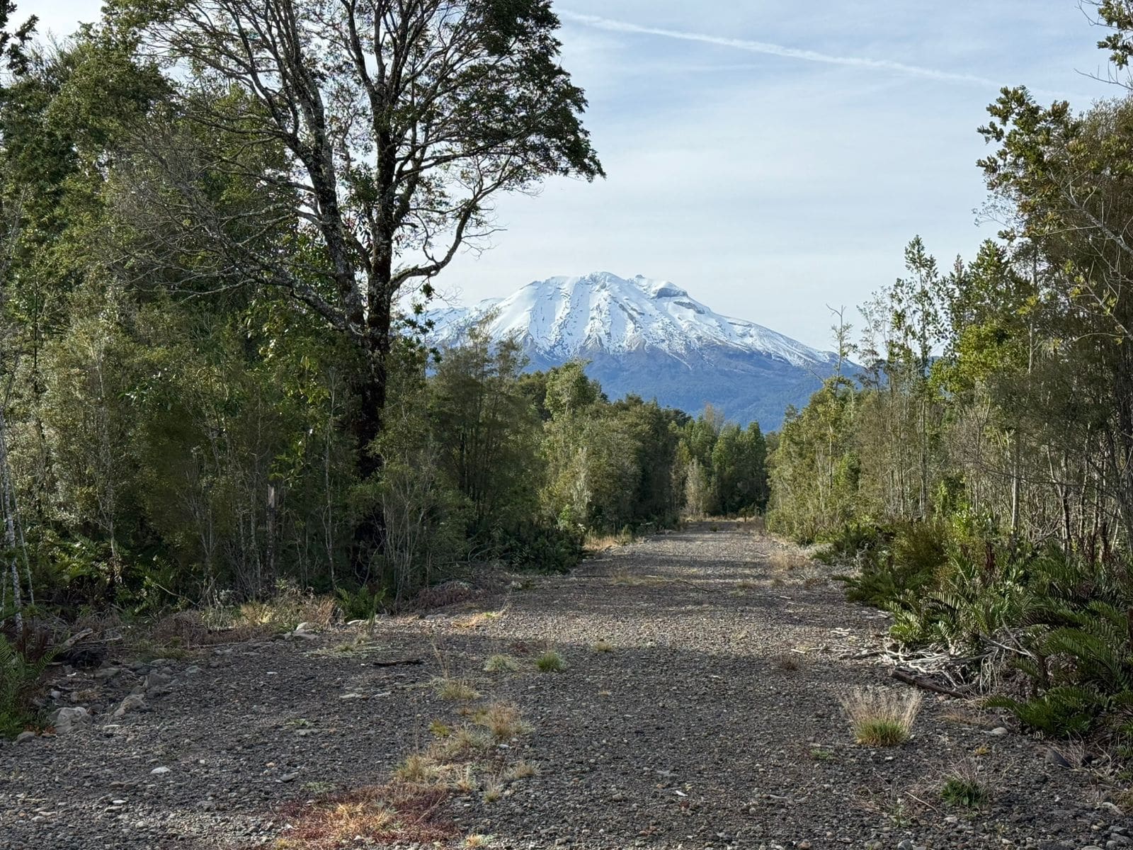 Parcela en venta en Puerto Varas — foto 7