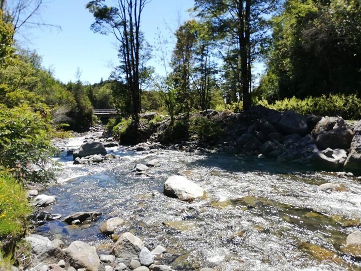 Parcela en venta en Puerto Varas — foto 9