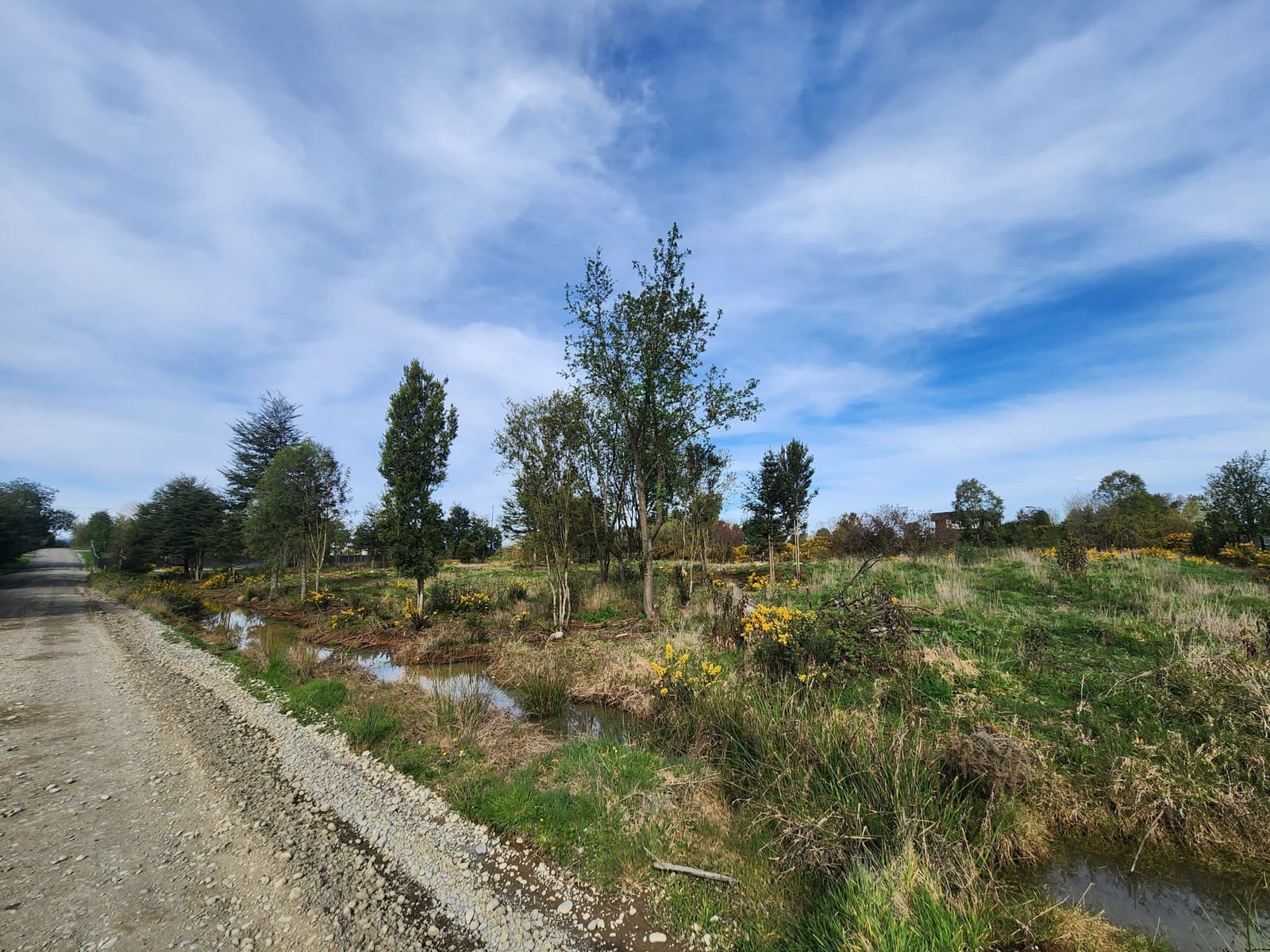 Parcela en venta en Puerto Varas — foto 8
