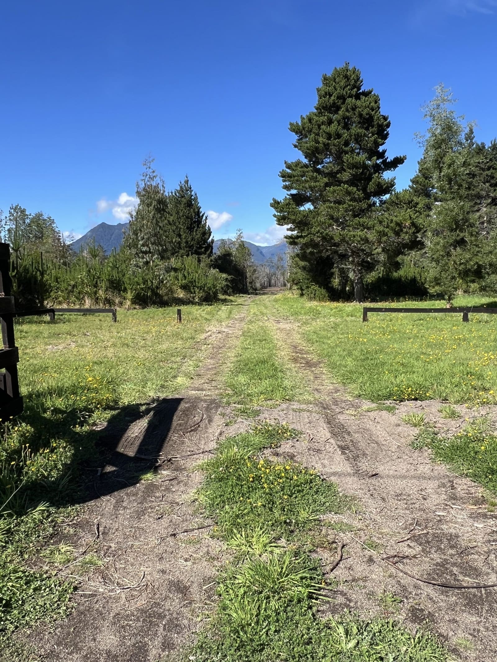 Parcela en venta en Puerto Varas — foto 9