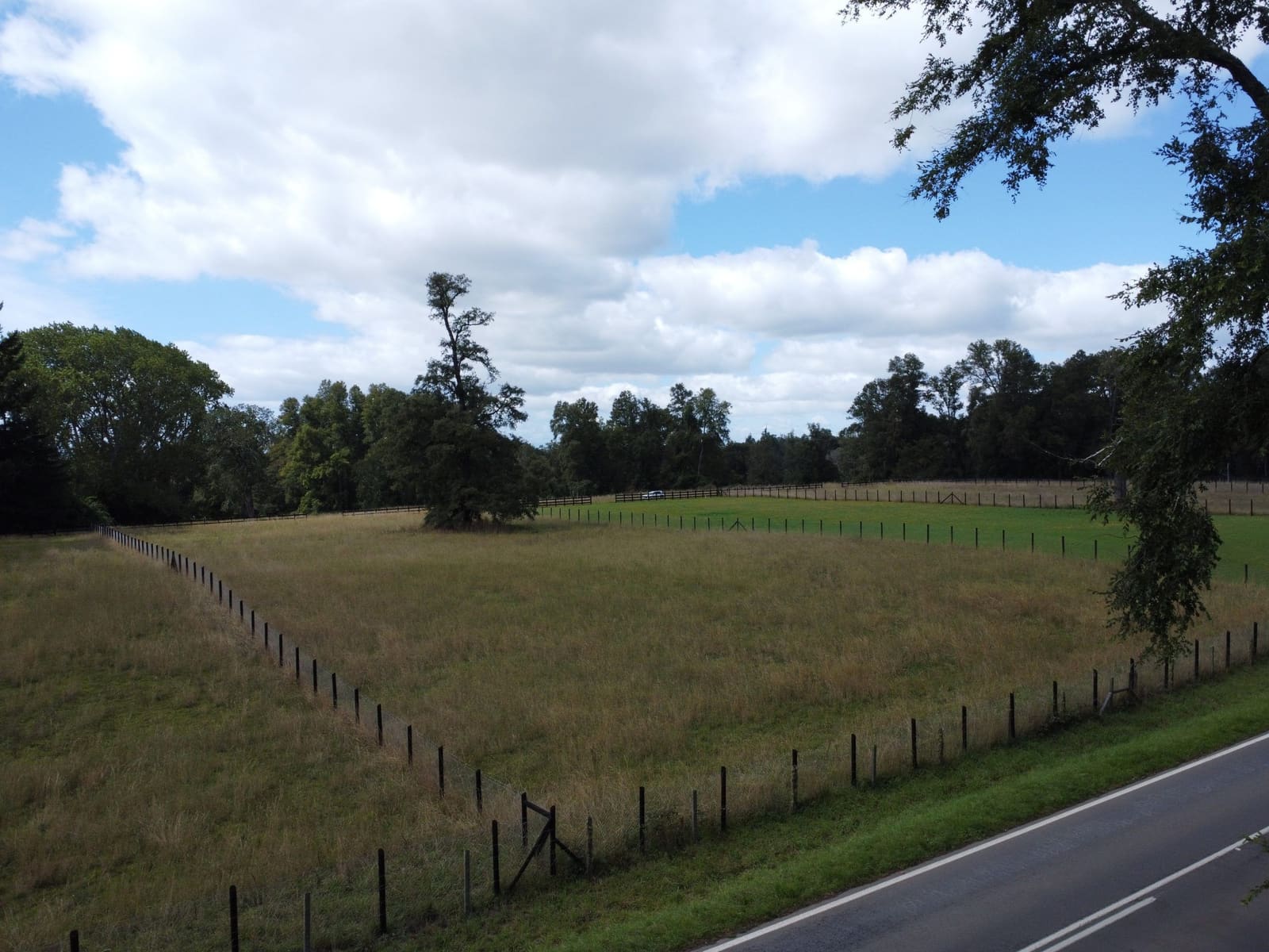 Parcela en venta en Frutillar — foto 6