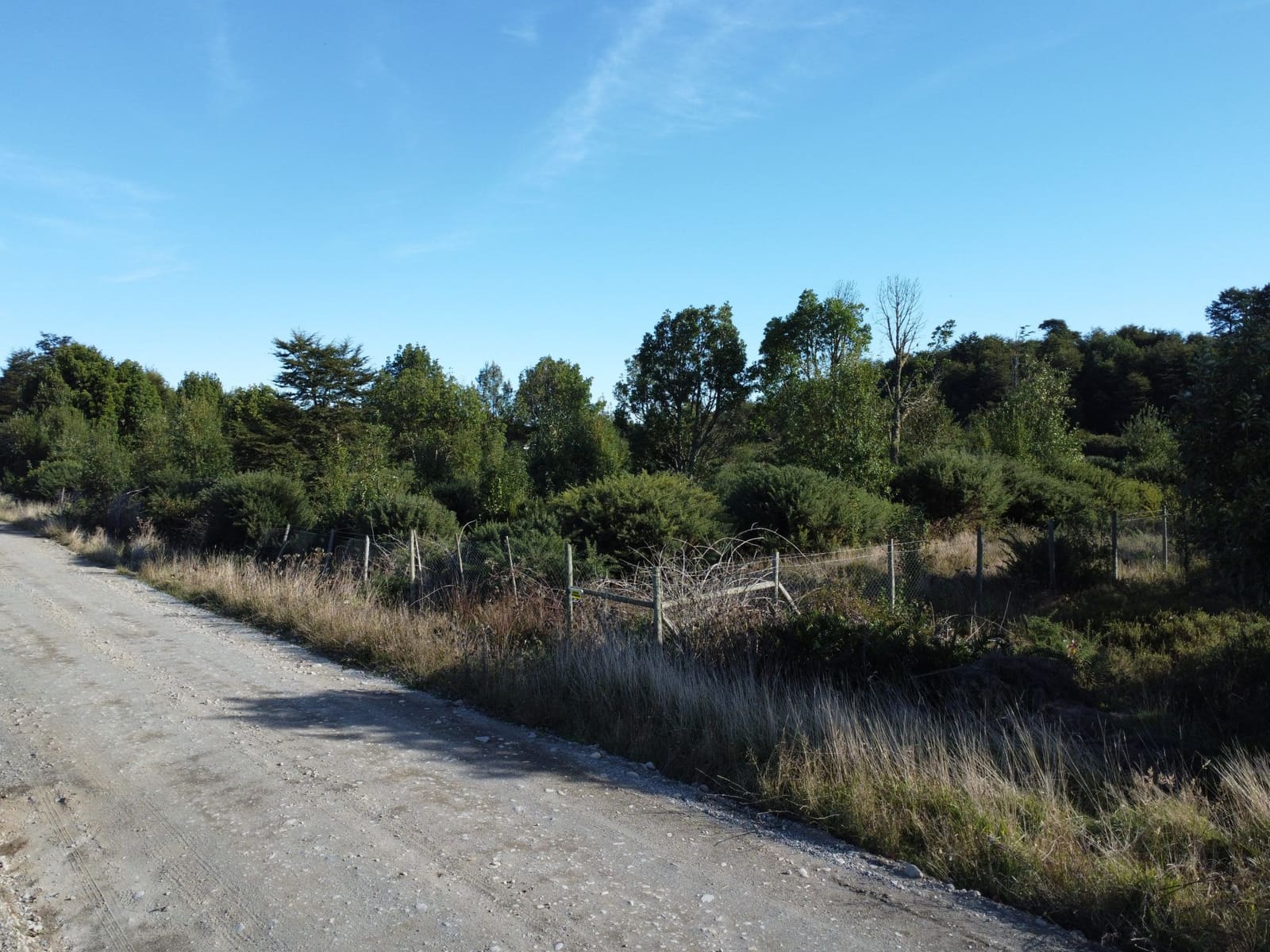 Parcela en venta en Puerto Varas — foto 4