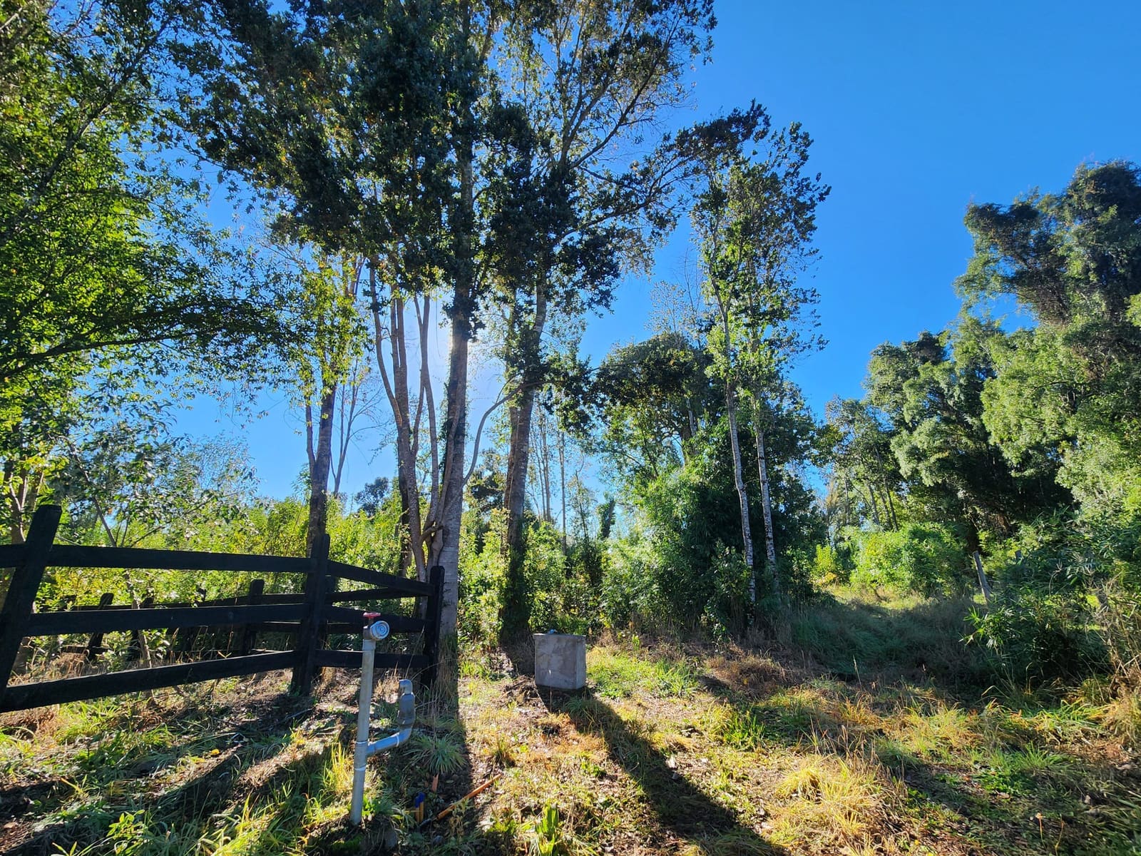 Parcela en venta en Puerto Varas — foto 1