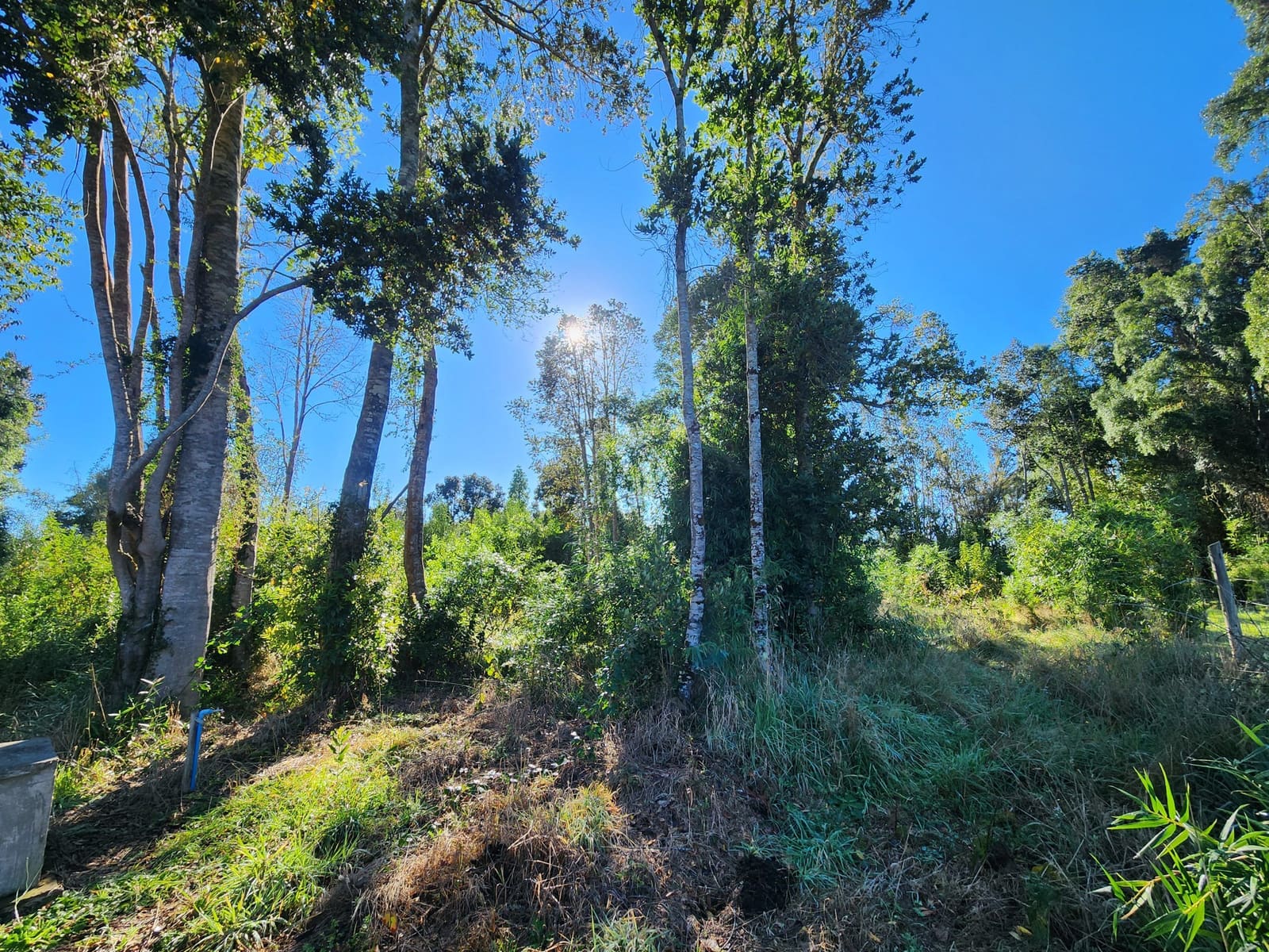 Parcela en venta en Puerto Varas — foto 2