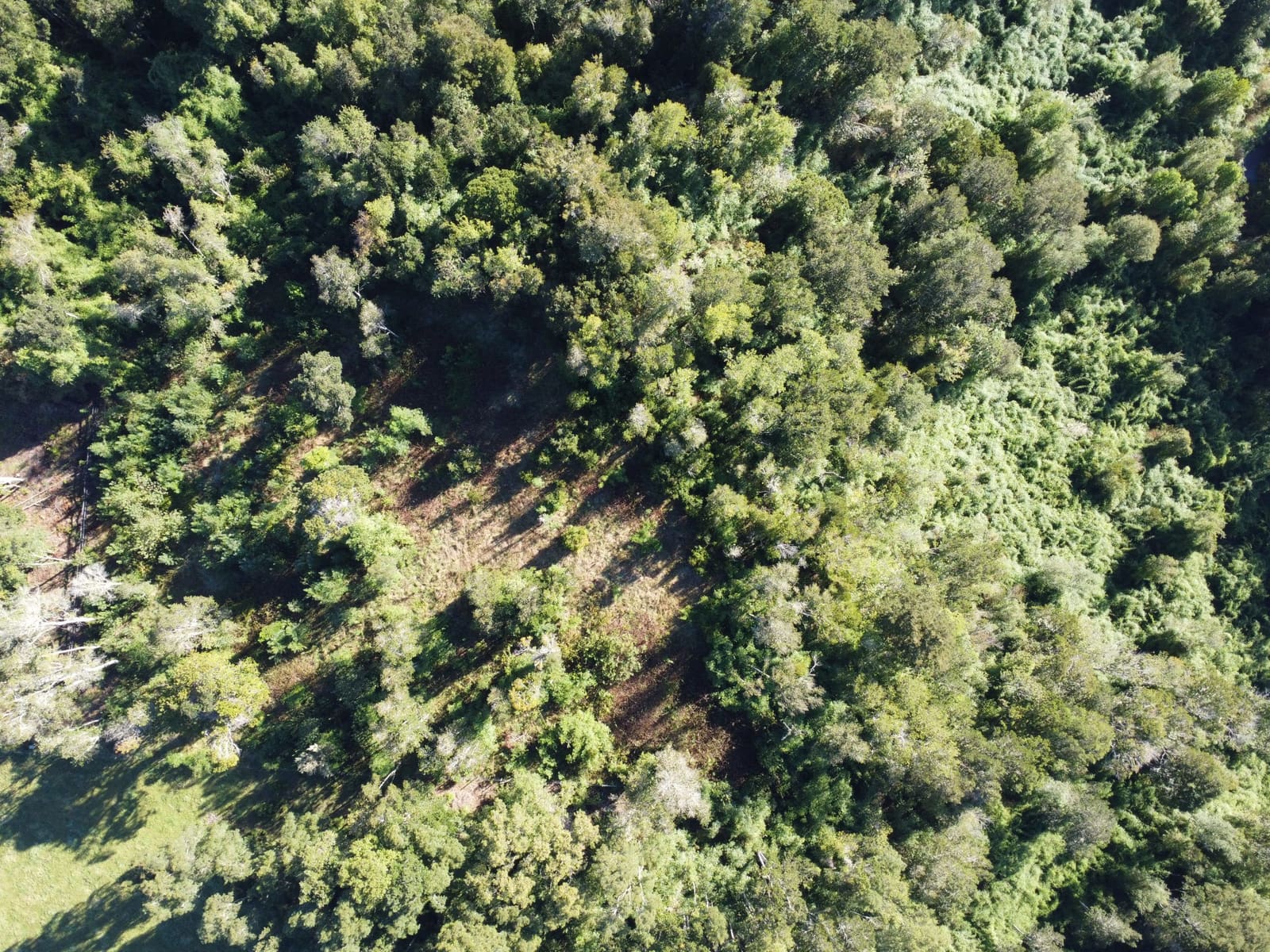 Parcela en venta en Puerto Varas — foto 9