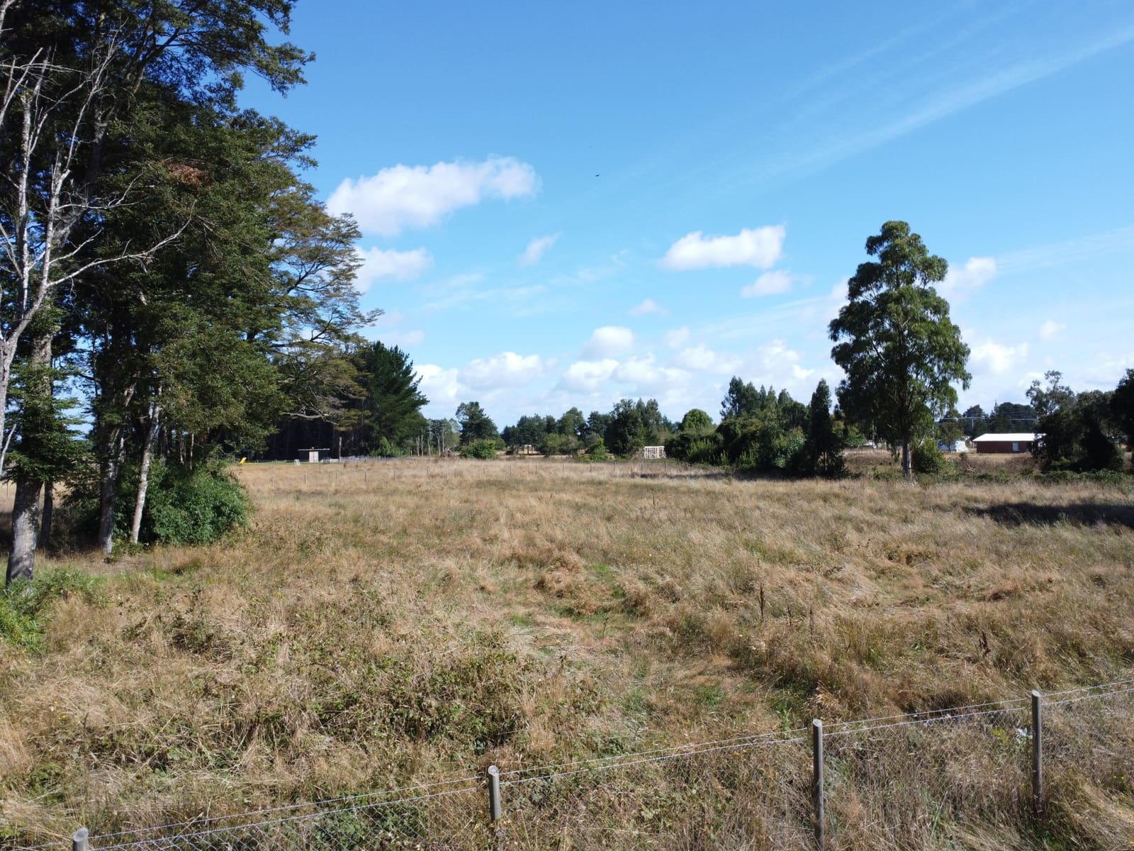 Parcela en venta en Frutillar — foto 6