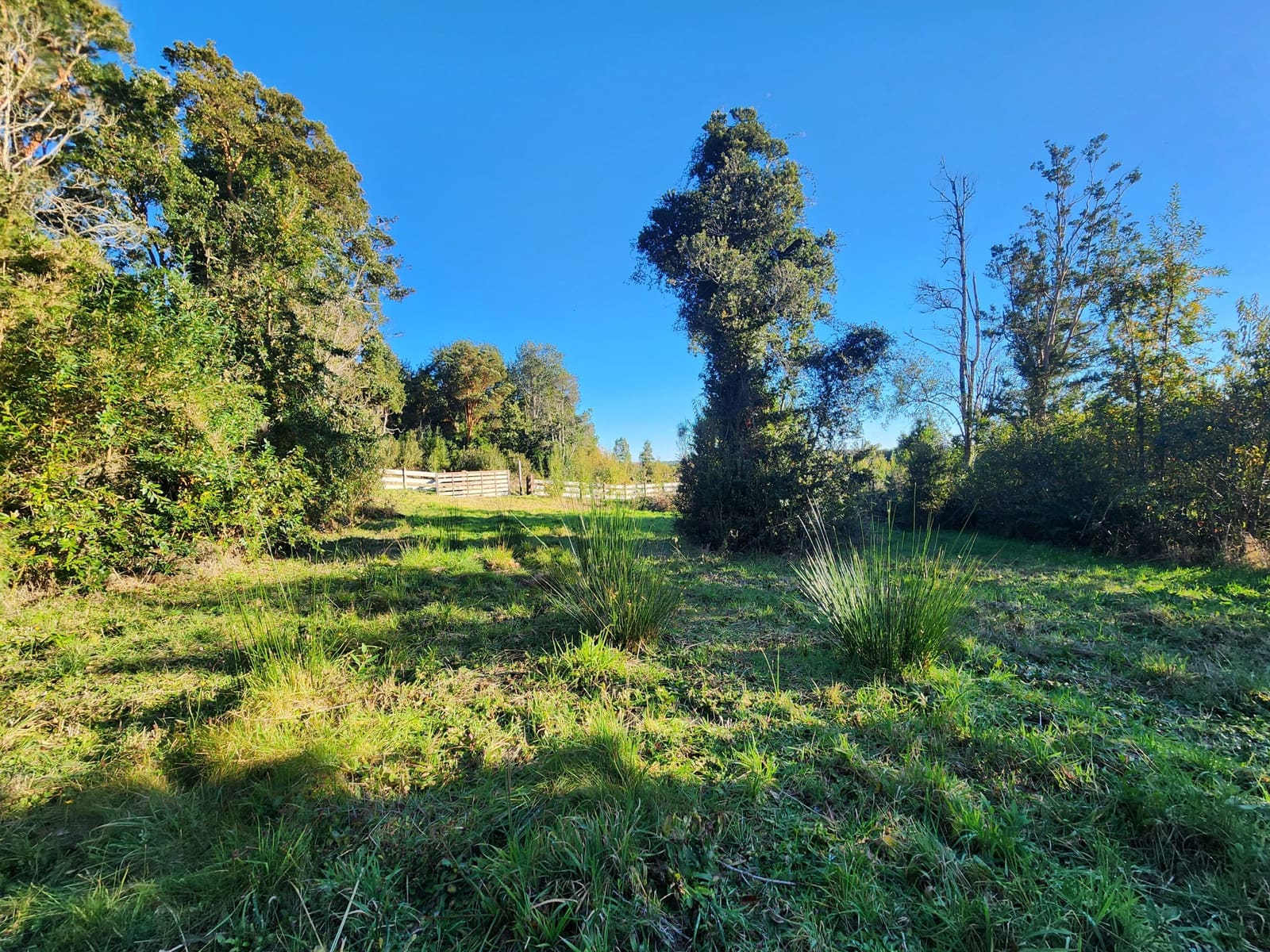 Parcela en venta en Puerto Varas — foto 4
