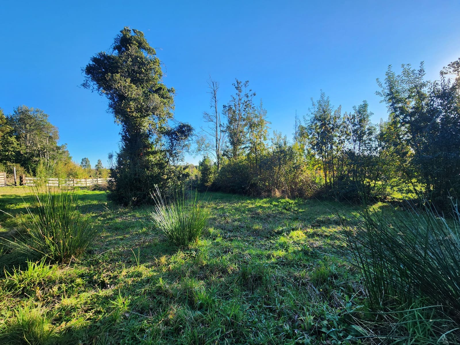 Parcela en venta en Puerto Varas — foto 5