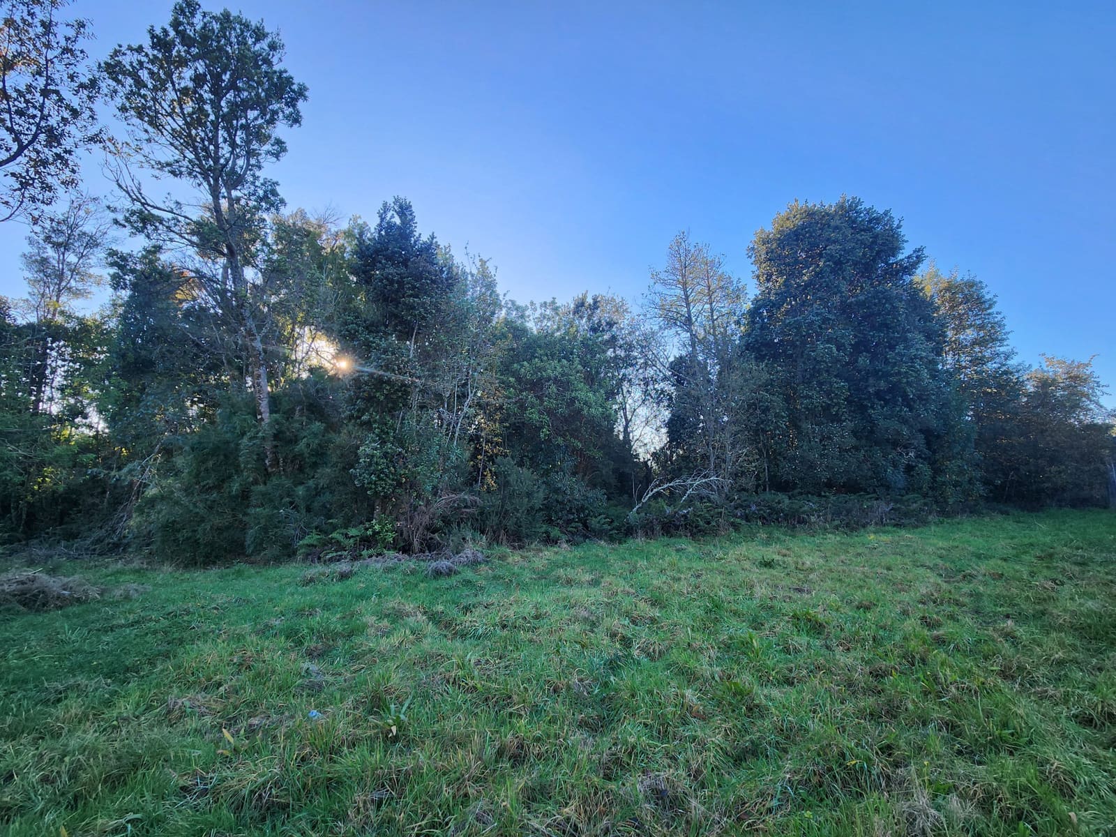 Parcela en venta en Puerto Varas — foto 10