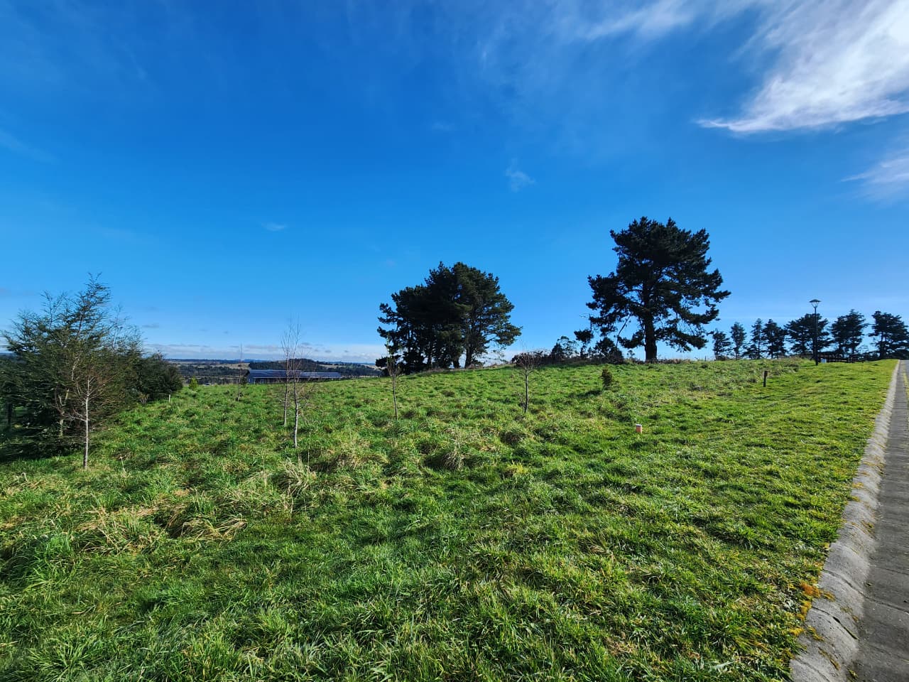 Parcela en venta en Puerto Varas — foto 8