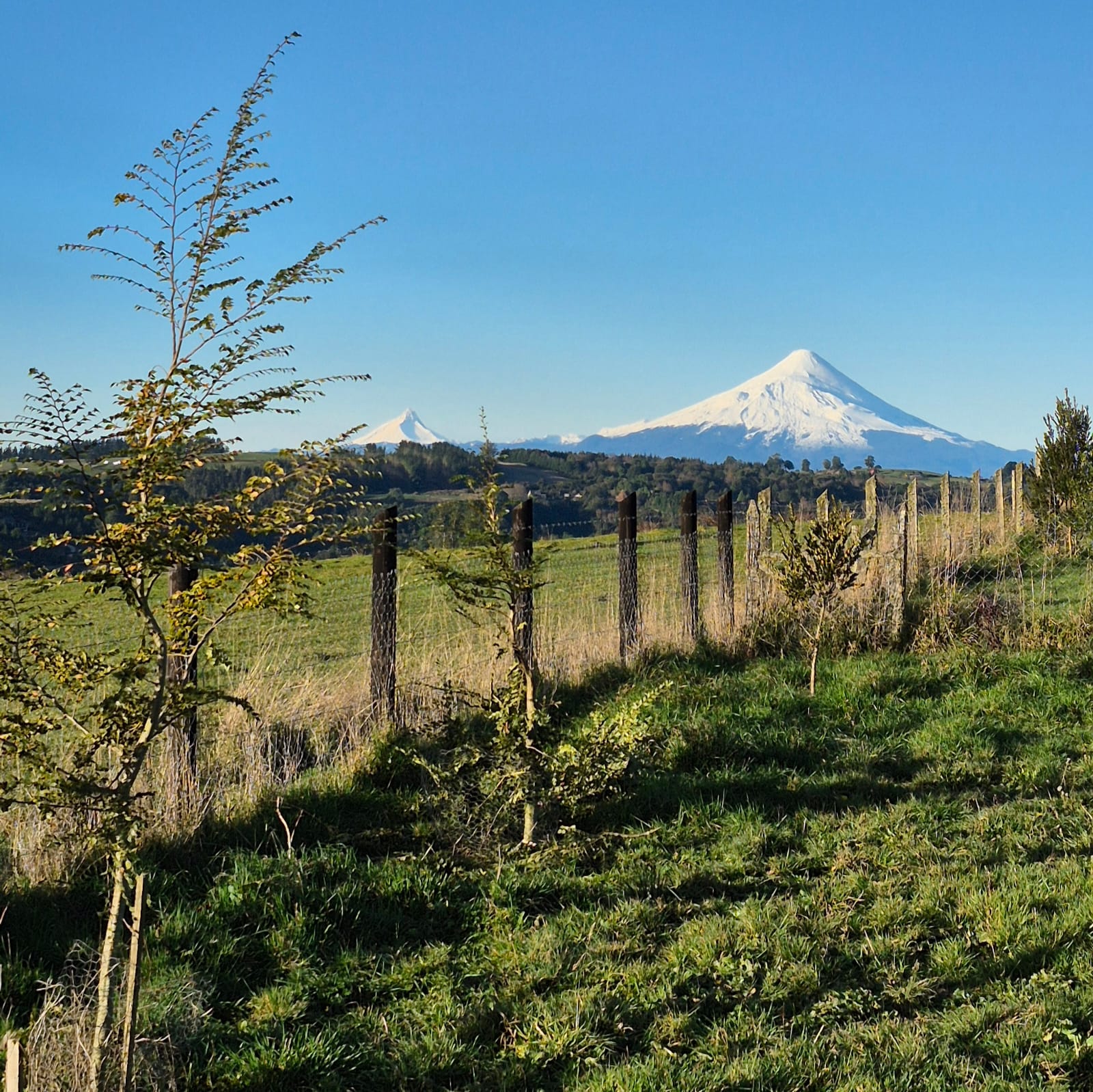 Parcela en venta en Llanquihue — foto 3