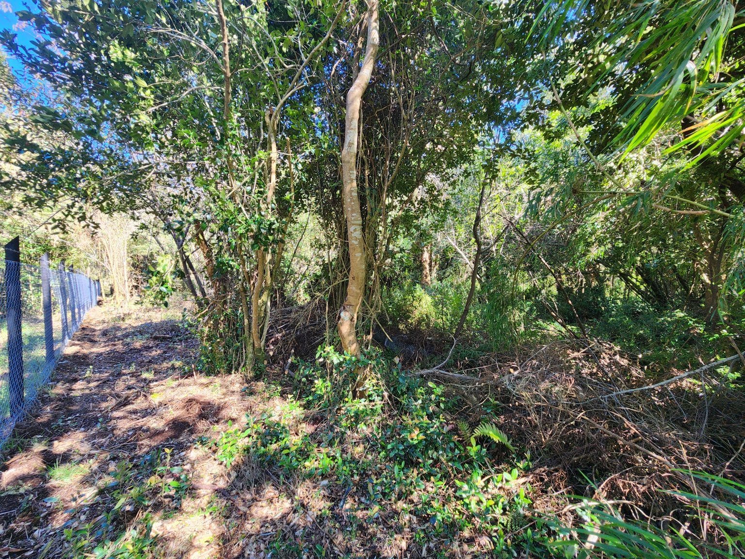 Parcela en venta en Puerto Varas — foto 7