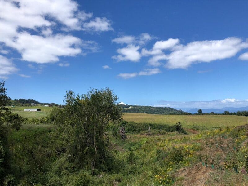 Parcela en venta en Llanquihue — foto 3