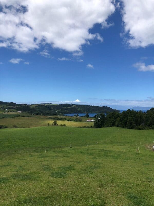 Parcela en venta en Llanquihue — foto 4