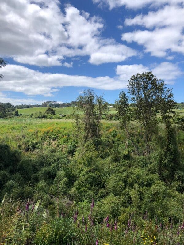Parcela en venta en Llanquihue — foto 7