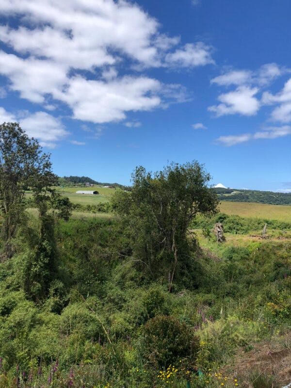 Parcela en venta en Llanquihue — foto 8