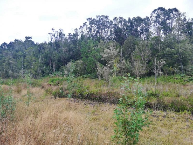 Parcela en venta en Puerto Varas — foto 2