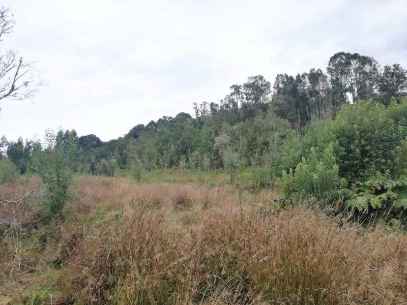 Parcela en venta en Puerto Varas — foto 4