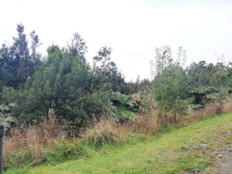 Parcela en venta en Puerto Varas — foto 8