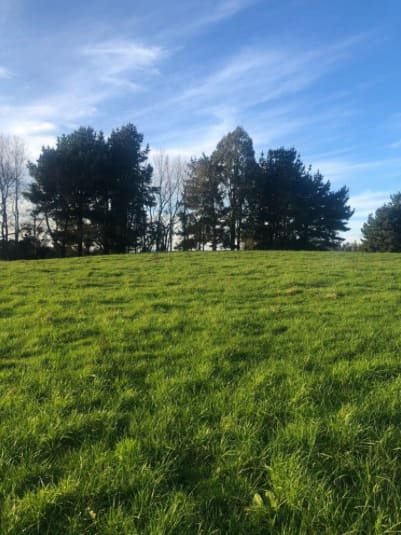 Parcela en venta en Puerto Varas — foto 1