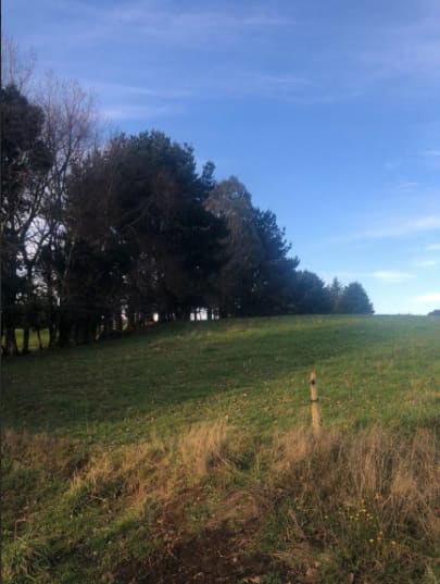 Parcela en venta en Puerto Varas — foto 7