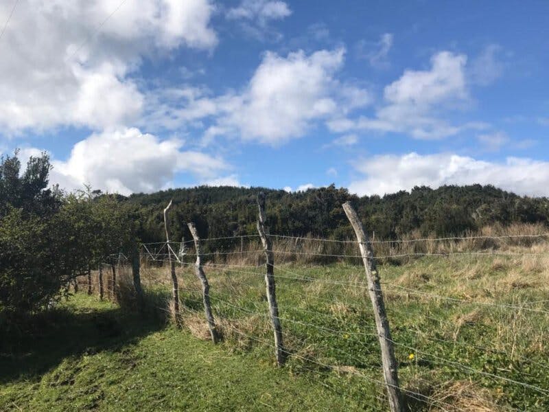 Campo en venta en Chaitén — foto 2