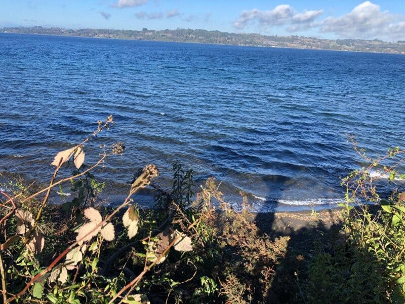 Parcela en venta en Frutillar — foto 2