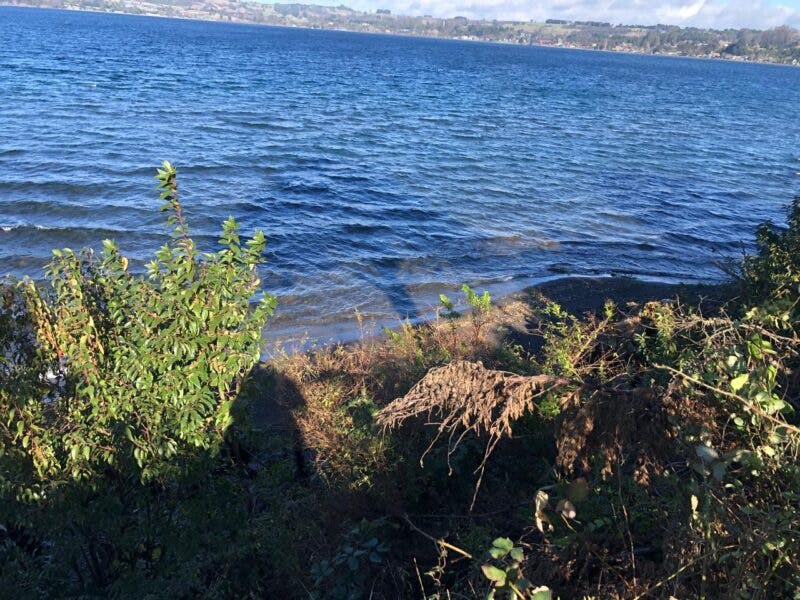 Parcela en venta en Frutillar — foto 3