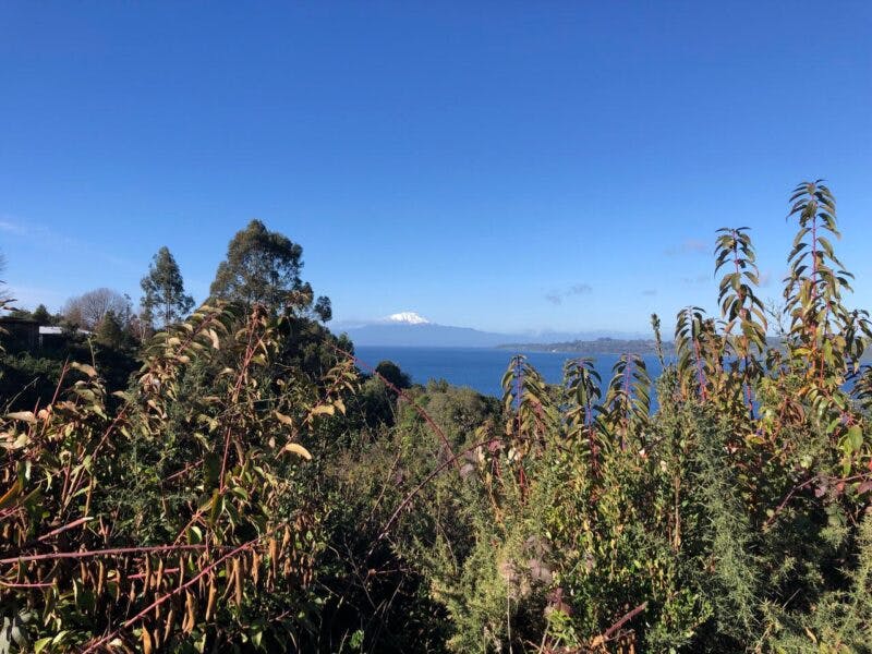 Parcela en venta en Frutillar — foto 4