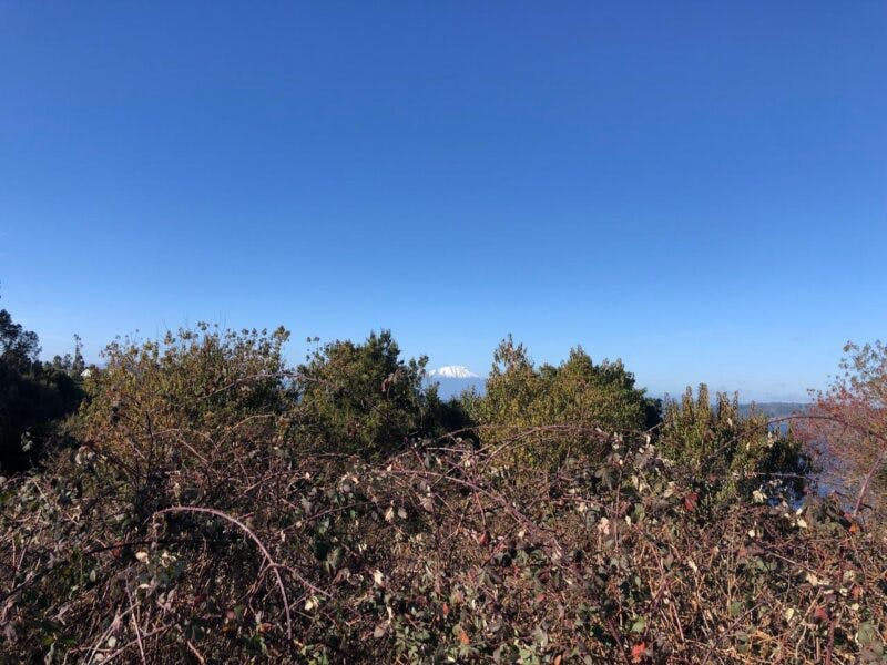 Parcela en venta en Frutillar — foto 5