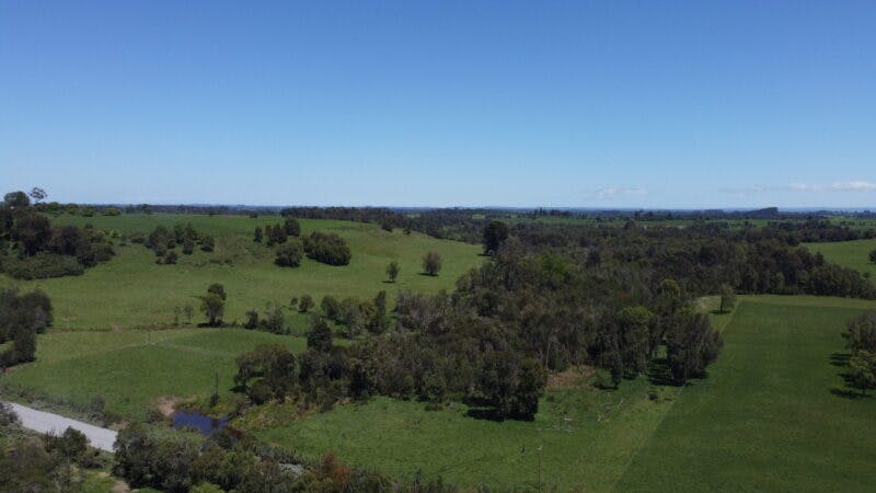 Terreno en venta en Puerto Varas — foto 1