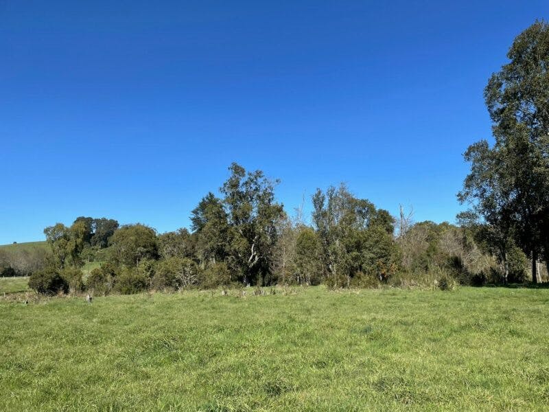 Terreno en venta en Puerto Varas — foto 2