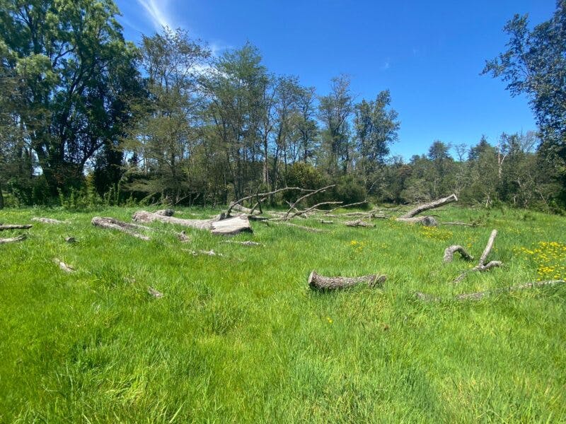 Terreno en venta en Puerto Varas — foto 4