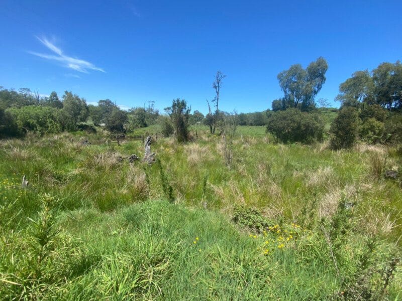Terreno en venta en Puerto Varas — foto 6