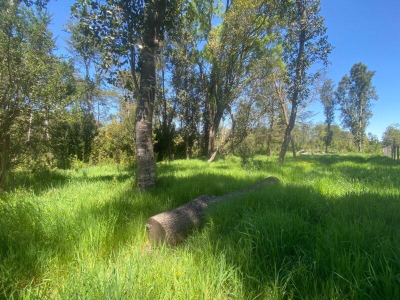 Terreno en venta en Puerto Varas — foto 7