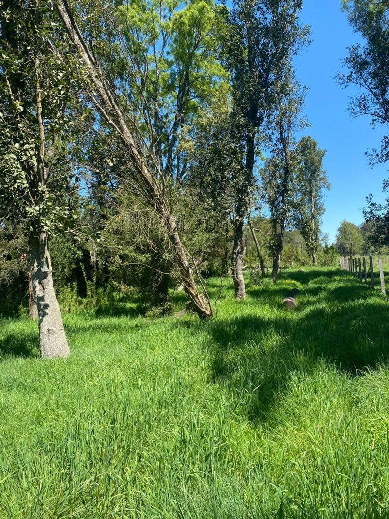 Terreno en venta en Puerto Varas — foto 8