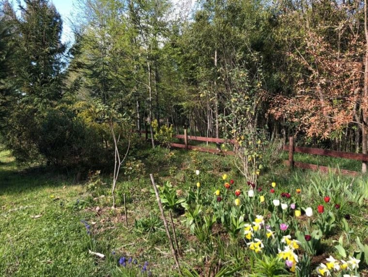 Casa en venta en Frutillar — foto 10