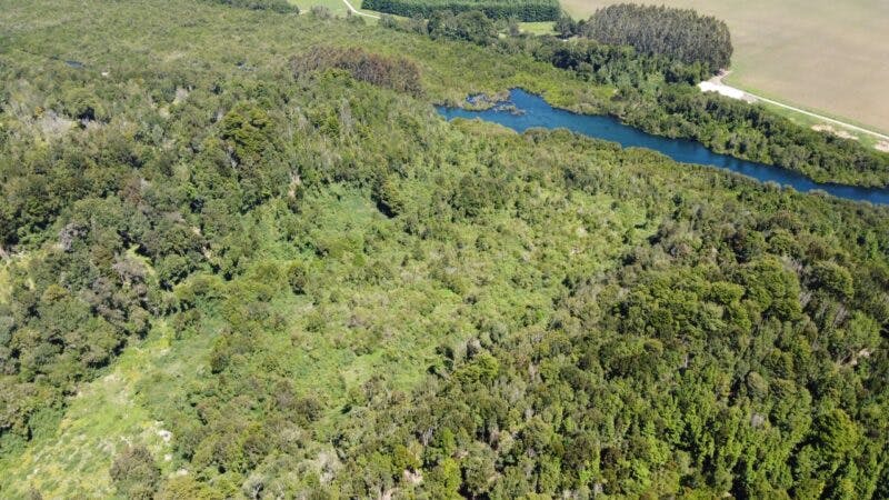 Terreno en venta en Puerto Varas — foto 6