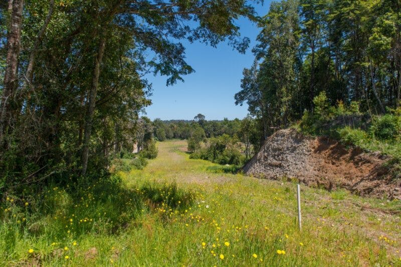 Terreno en venta en Puerto Varas — foto 10