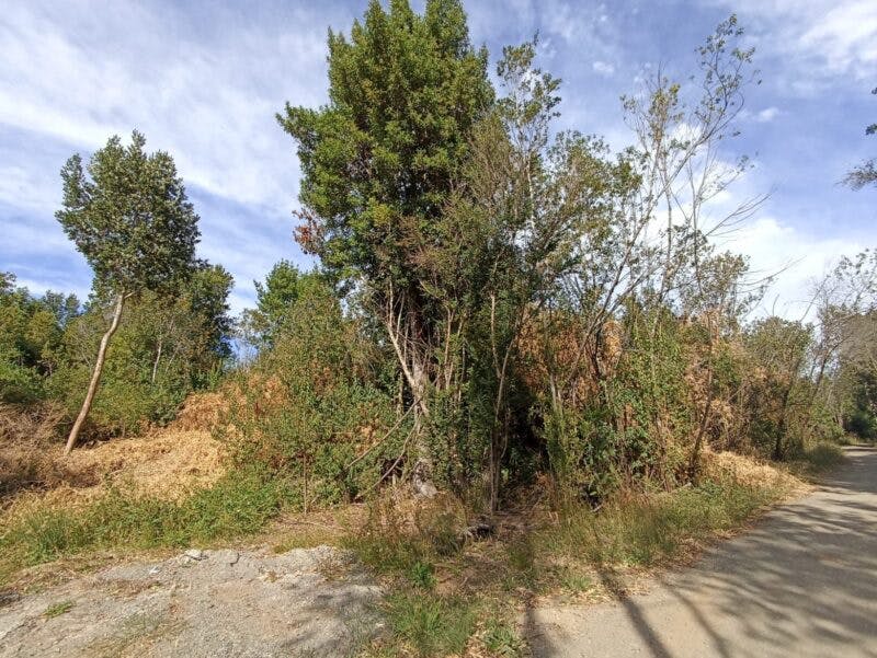 Parcela en venta en Puerto Varas — foto 1