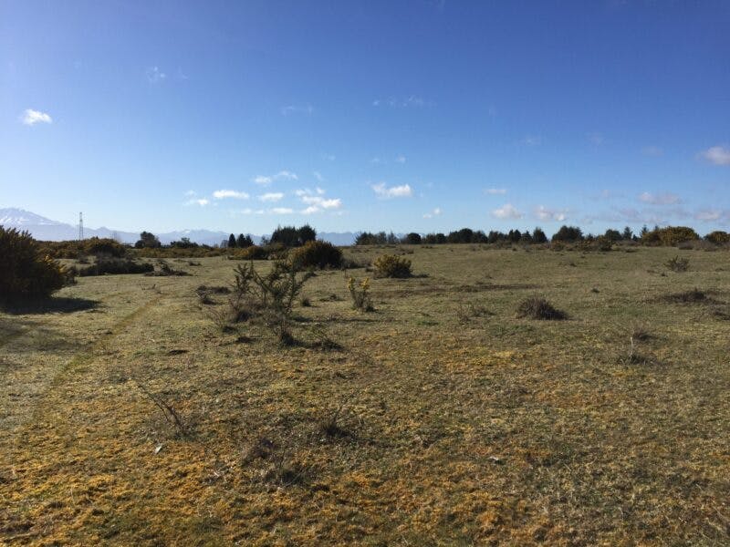 Terreno en venta en Puerto Varas — foto 1
