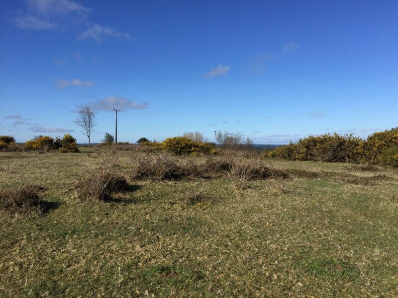 Terreno en venta en Puerto Varas — foto 2