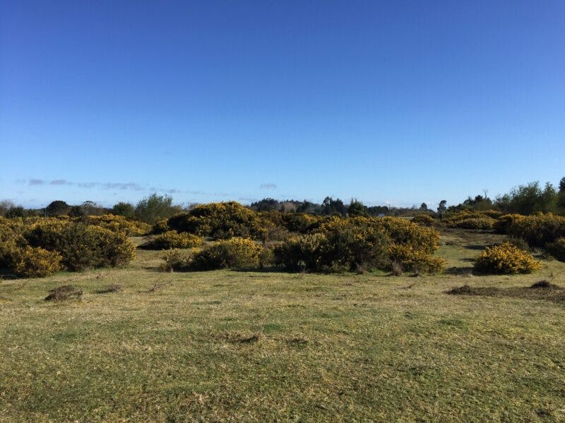 Terreno en venta en Puerto Varas — foto 3