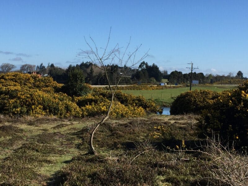 Terreno en venta en Puerto Varas — foto 5