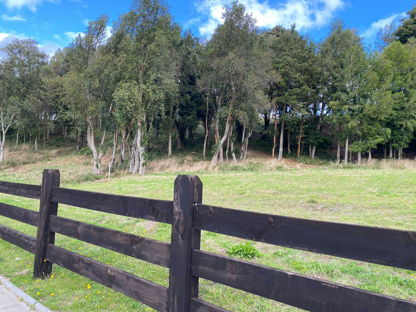 Parcela en venta en Puerto Varas — foto 4