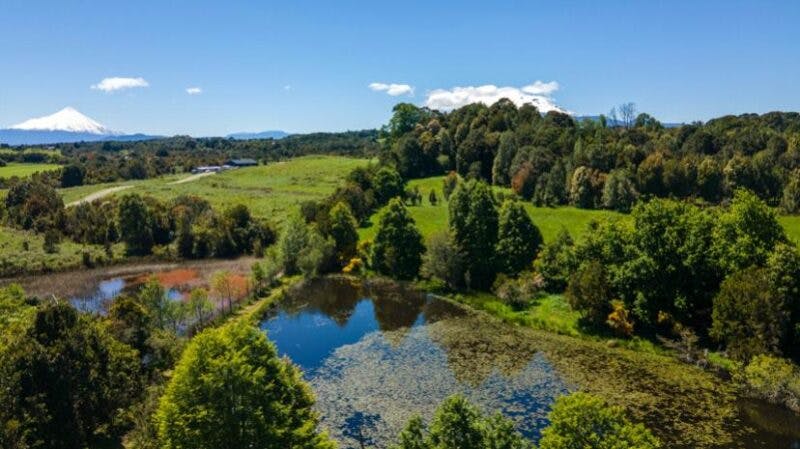 Parcela en venta en Puerto Varas — foto 3