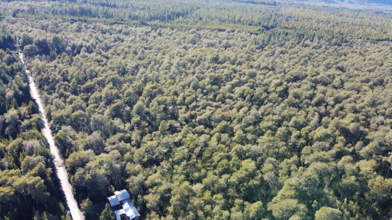Campo en venta en Puerto Varas — foto 1